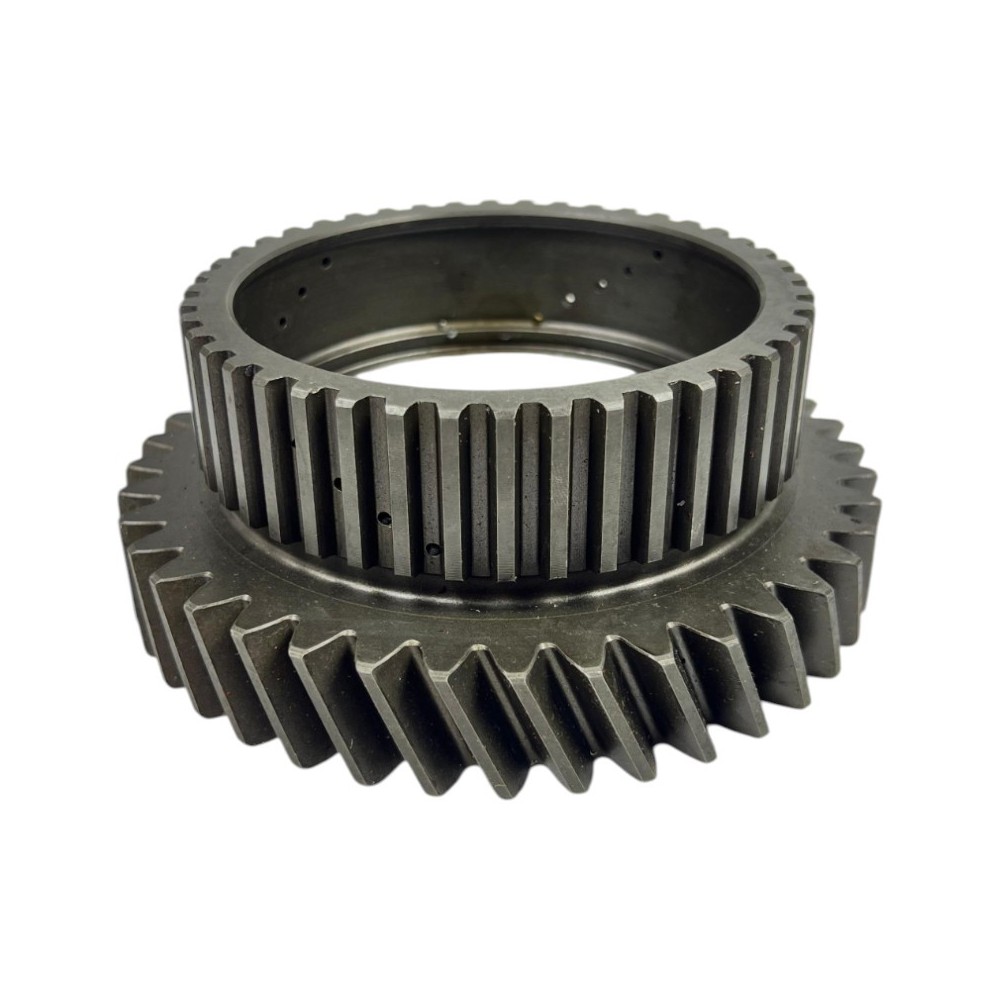 INGRANAGGIO CONDUTTORE