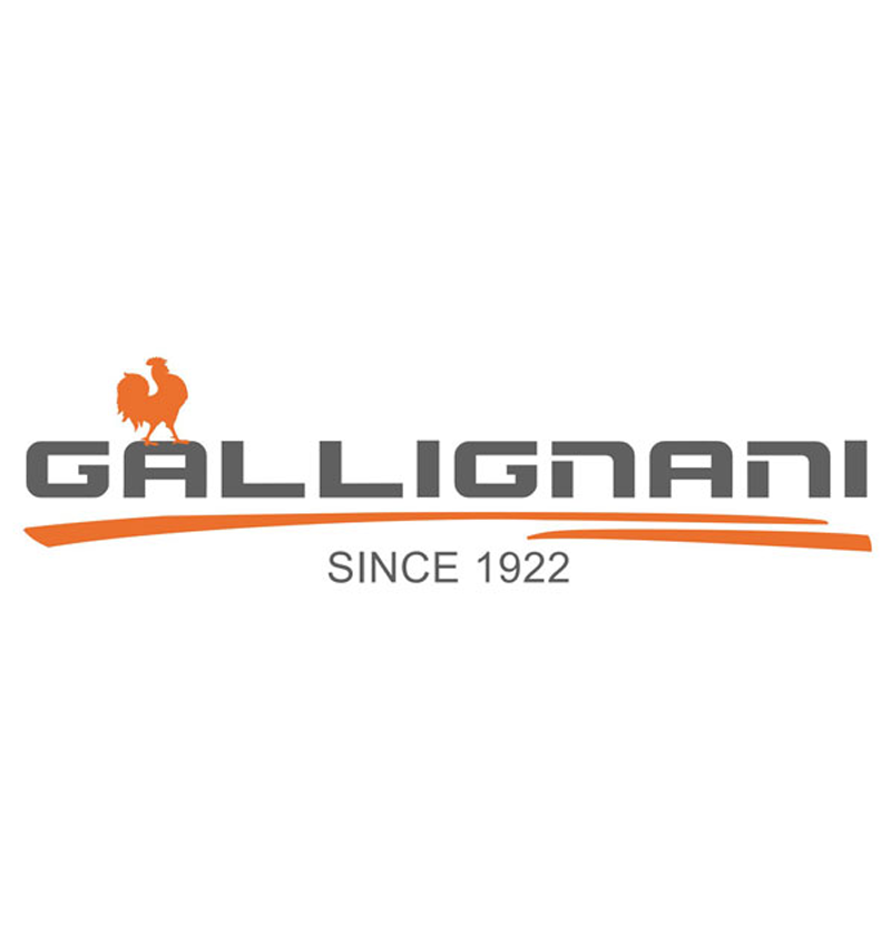 Gallignani